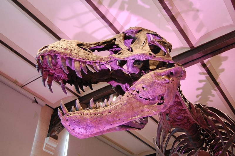 Dinosaur in Prehistoric Era